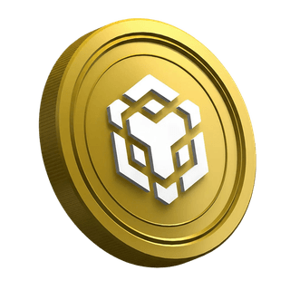 Token BNB de Binance mostrado en la página de guía dirigida a traders principiantes